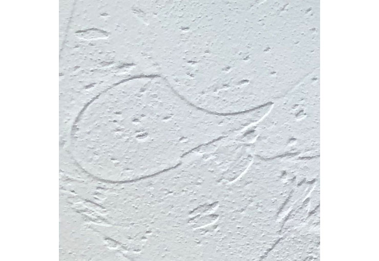 【HAGSオリジナル】珪藻土 HAGS-Lime -森の塗り壁材- [20kg]|HL-1