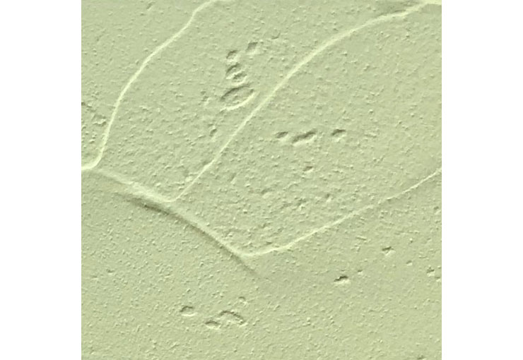 【HAGSオリジナル】珪藻土 HAGS-Lime -森の塗り壁材- [20kg]|HL-4