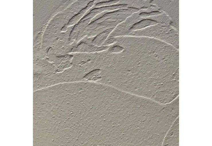 【HAGSオリジナル】珪藻土 HAGS-Lime -森の塗り壁材- [20kg]|HL-9