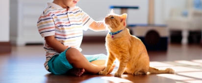 ペット・子供向け