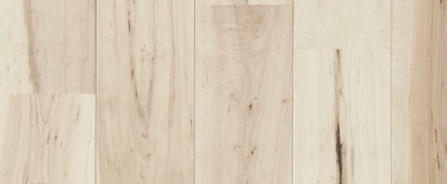 アッシュ・メープル