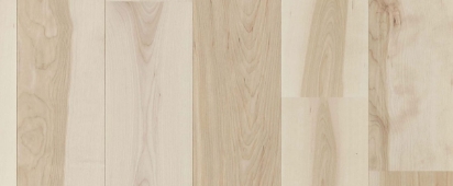 オーク・バーチ