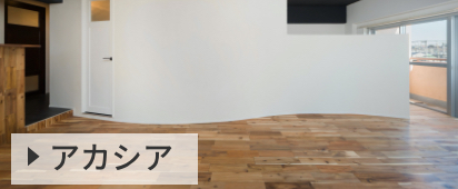 アカシア